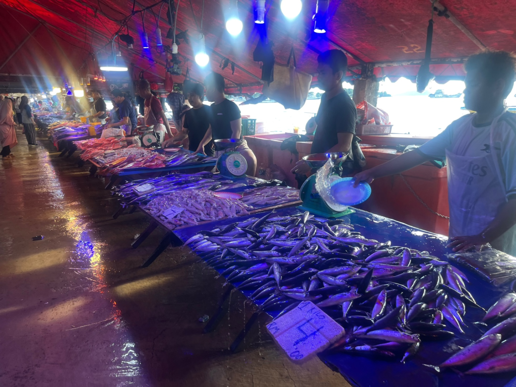 Kota Kinabalu KK Fish Market